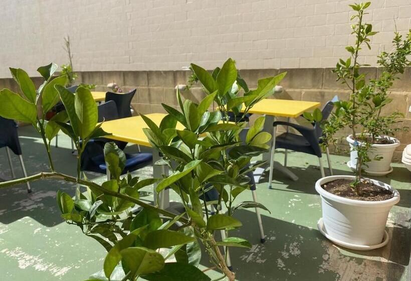 تختخواب و صبحانه Xemx