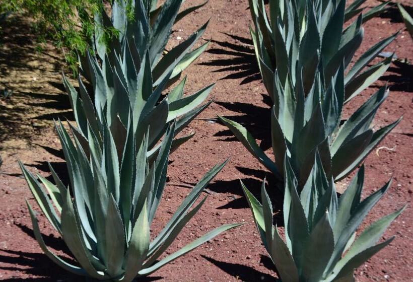 هتل Casa Legado Spa & Resort