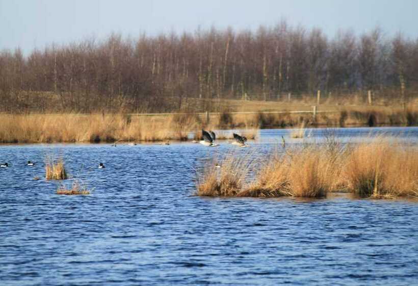 酒店 Gasthof Robben