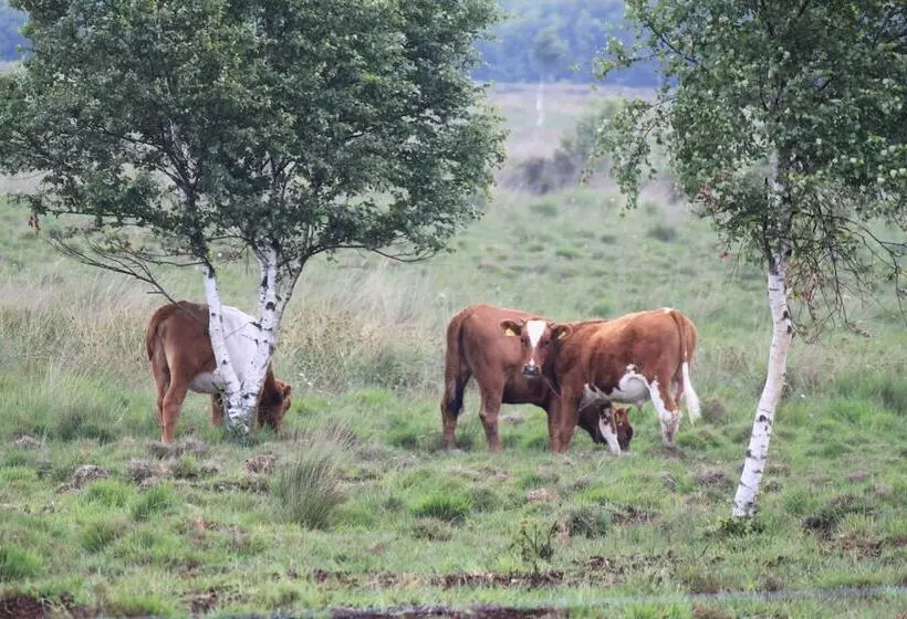 Hotelli Gasthof Robben