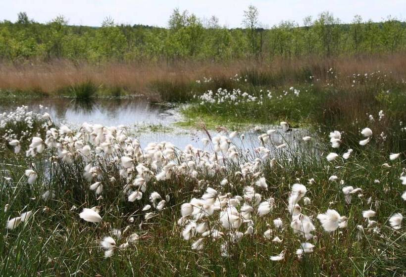 酒店 Gasthof Robben