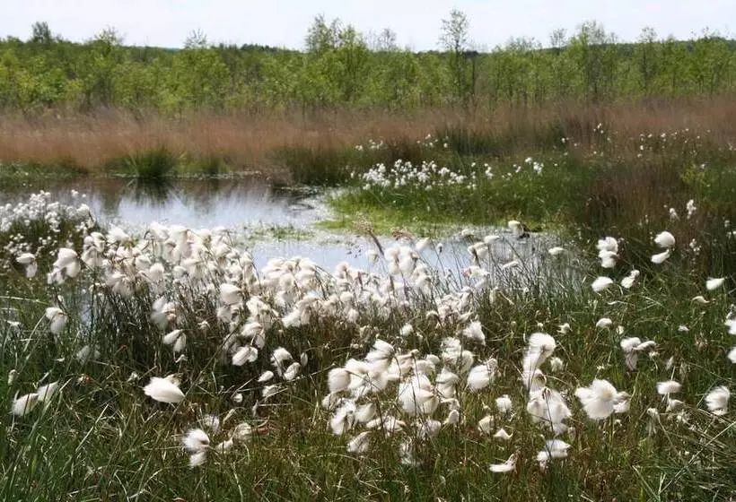 Hotelli Gasthof Robben