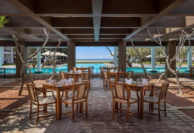 ホテル Heritance Ayurveda   All Meals And Treatments