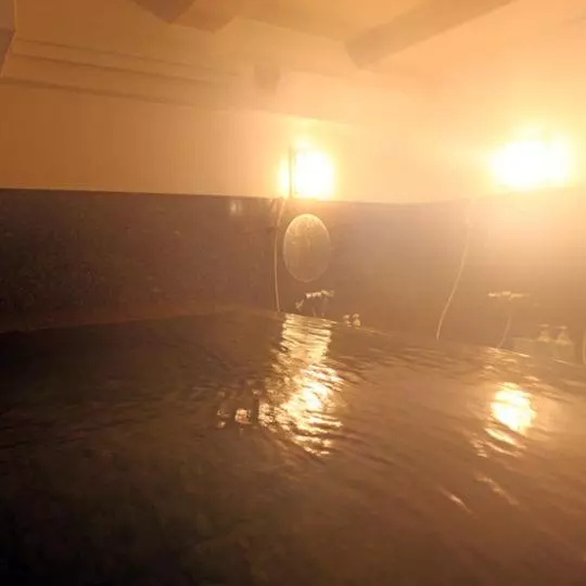 ホテル Housen Soka