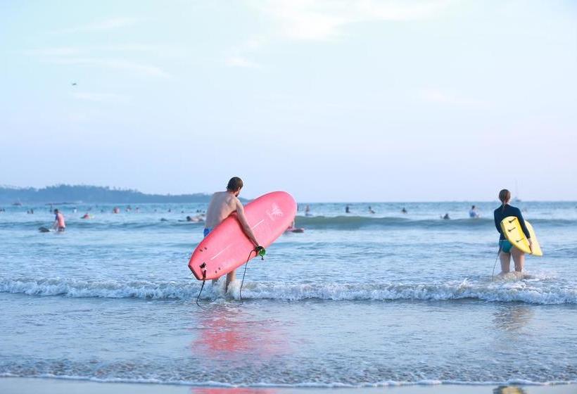 호텔 Surf Orchid Villa