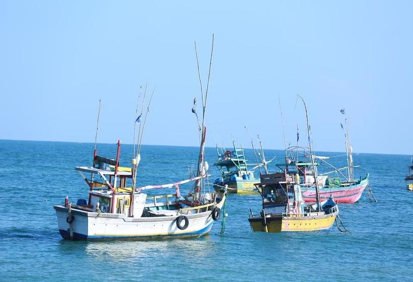 호텔 Surf Orchid Villa