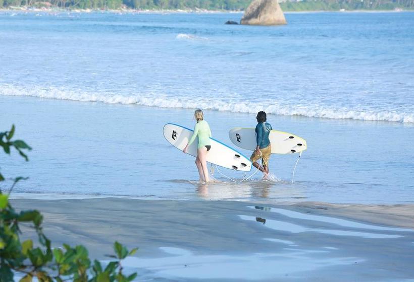 호텔 Surf Orchid Villa