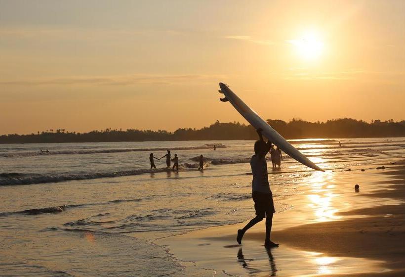 호텔 Surf Orchid Villa