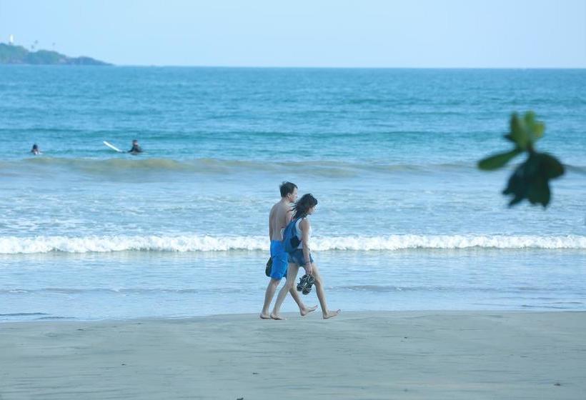 호텔 Surf Orchid Villa