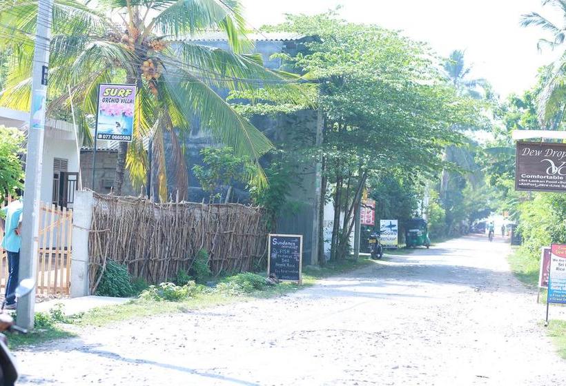 호텔 Surf Orchid Villa