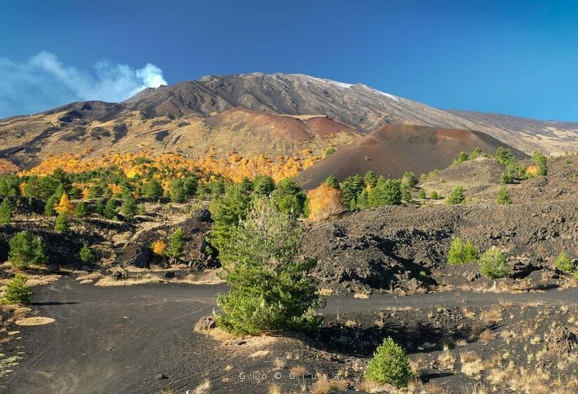 B&b Boutique Di Charme Etnarelaxnatura