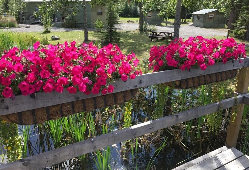 Aamiaismajoitus (B&B) Discovery Yukon Lodgings