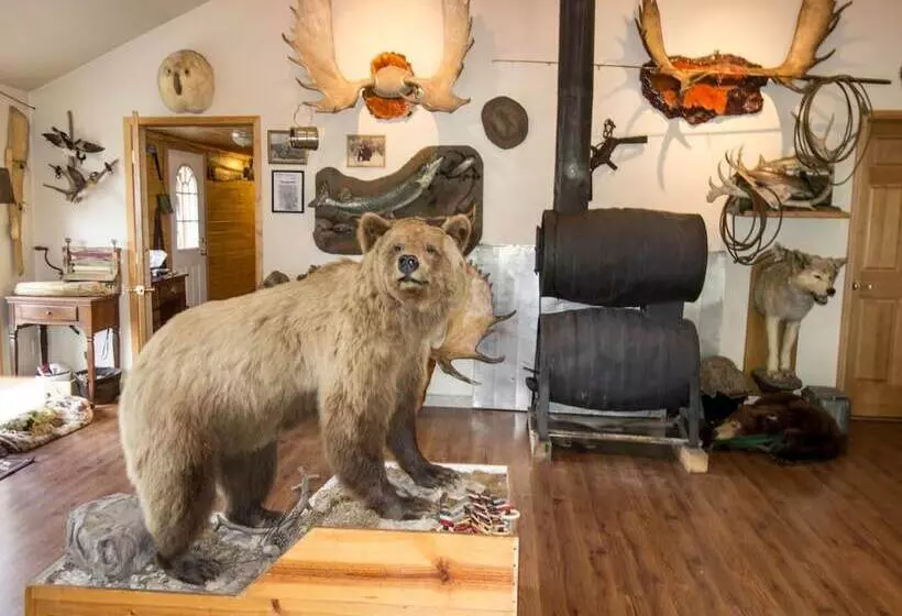 ベッドアンドブレックファースト Discovery Yukon Lodgings