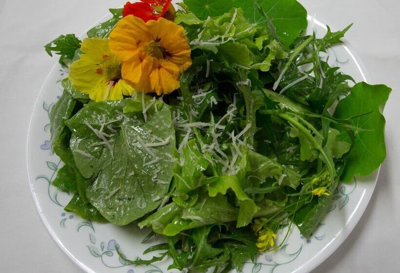 Aamiaismajoitus (B&B) Discovery Yukon Lodgings