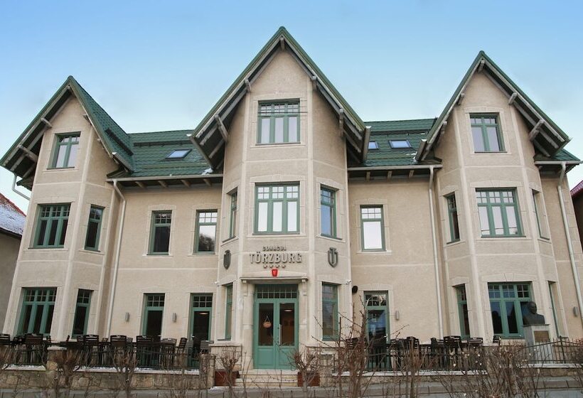 هتل Conacul Torzburg