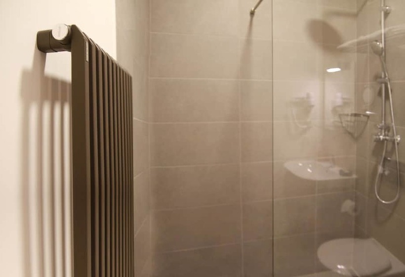 هتل Conacul Torzburg