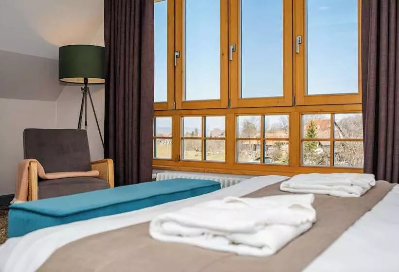 ホテル Conacul Torzburg