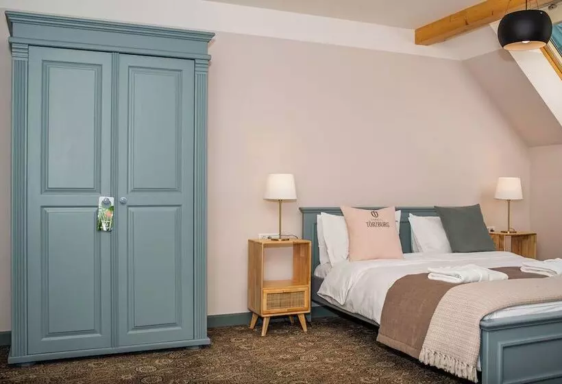 ホテル Conacul Torzburg