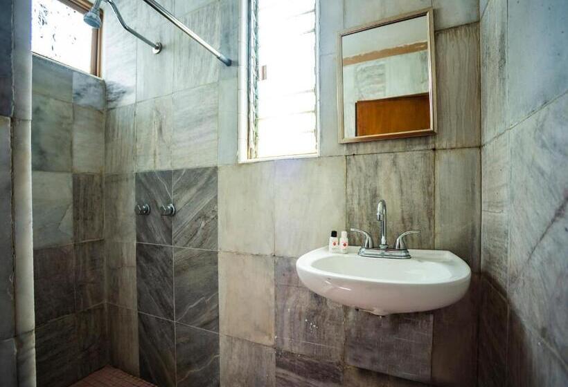 בית מלון כפרי Oasis