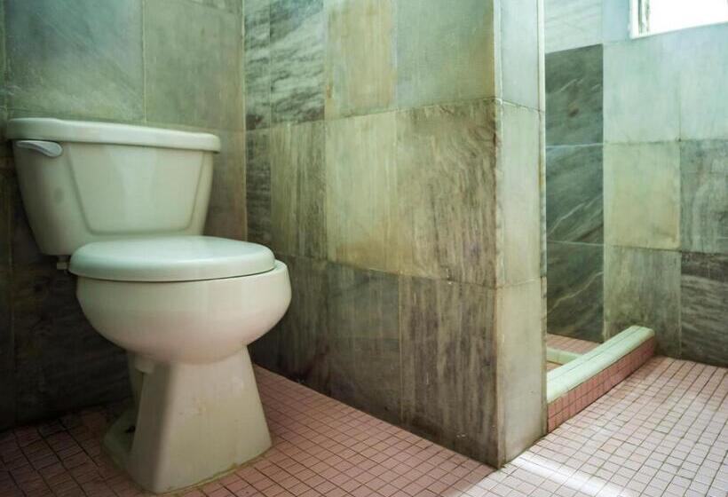 בית מלון כפרי Oasis