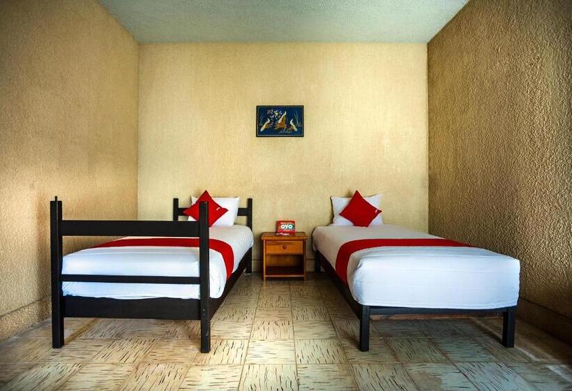 בית מלון כפרי Oasis