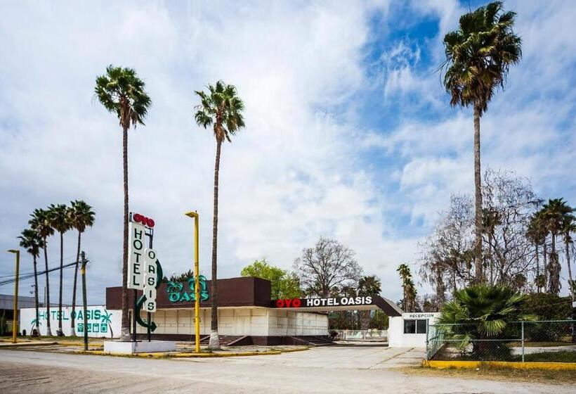 בית מלון כפרי Oasis