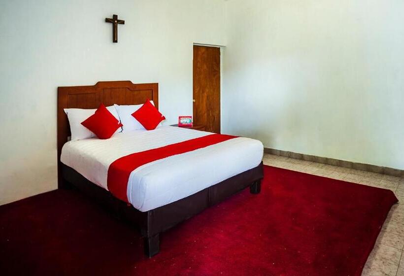 בית מלון כפרי Oasis