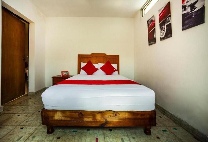 בית מלון כפרי Oasis