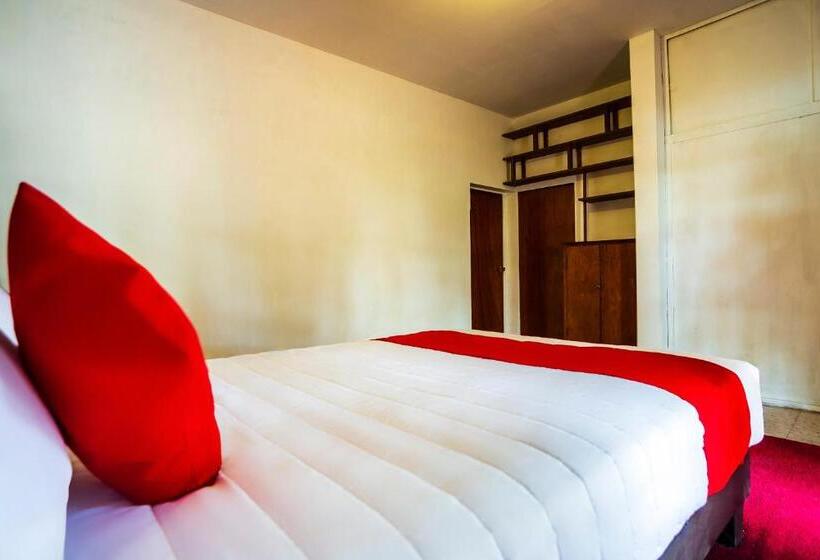 בית מלון כפרי Oasis