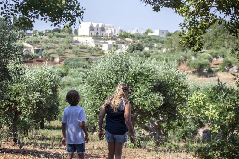 هتل Ottolire Resort