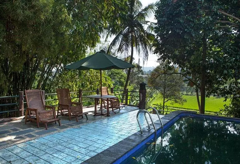 ホテル Villa Sawah Resort Managed By Salak Hospitality