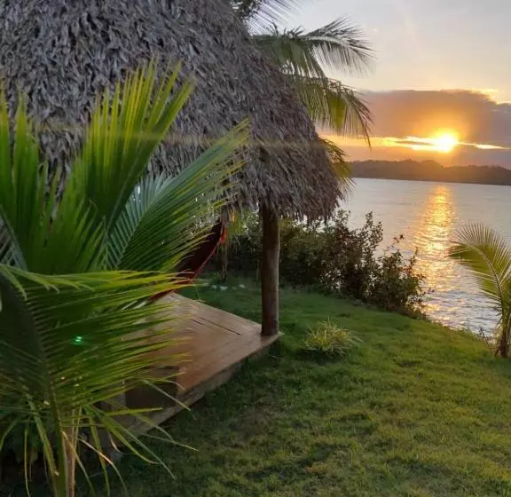 ホテル Vista Coiba Villas & Restaurant