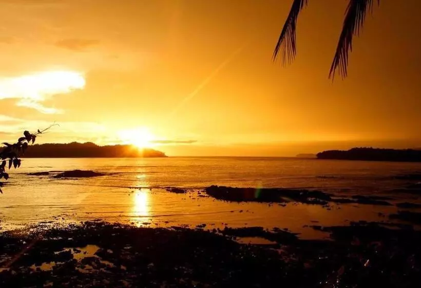 ホテル Vista Coiba Villas & Restaurant