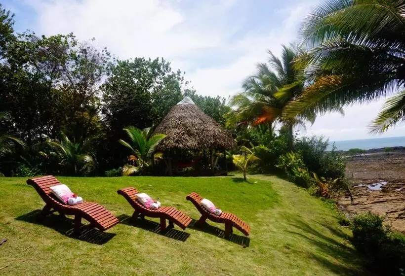 ホテル Vista Coiba Villas & Restaurant