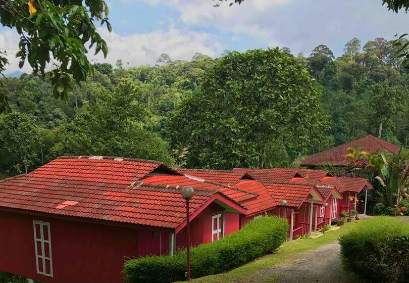 Serene Resort & Training Centre