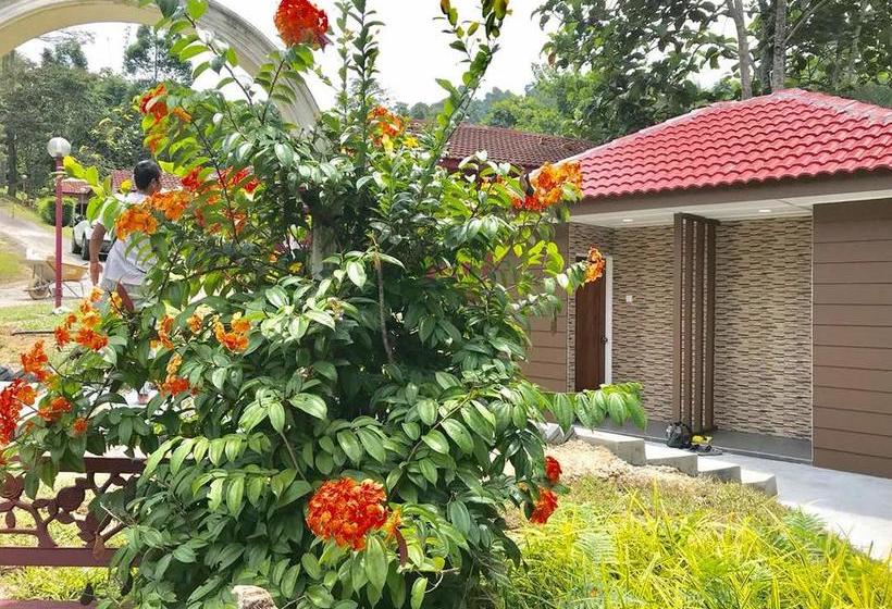 Serene Resort & Training Centre