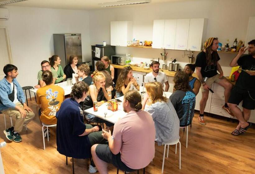 Wild Elephants Hostel