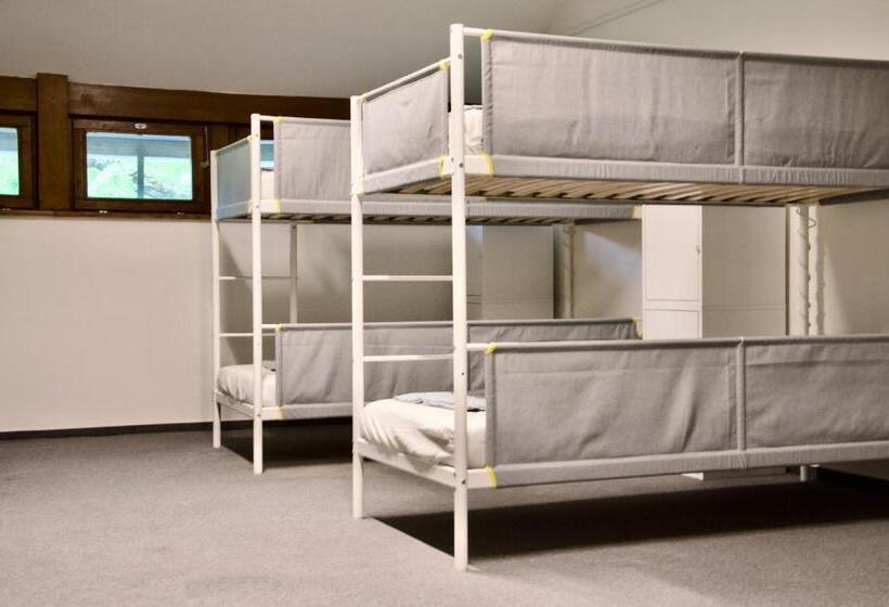 Wild Elephants Hostel