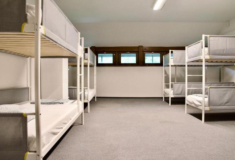 Wild Elephants Hostel