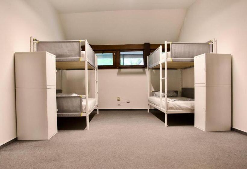 Wild Elephants Hostel