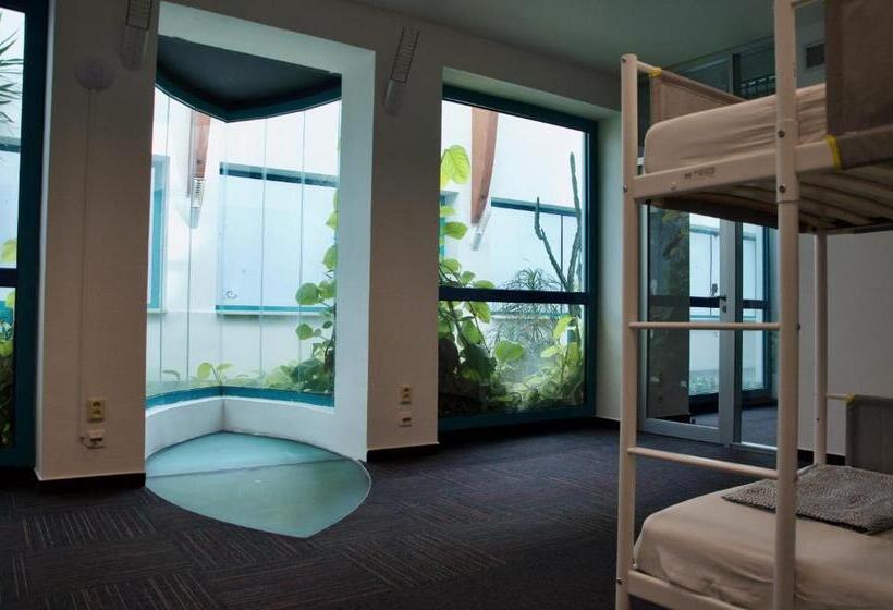 Wild Elephants Hostel