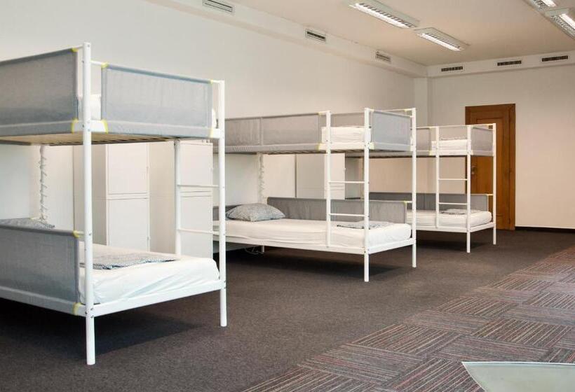 Wild Elephants Hostel