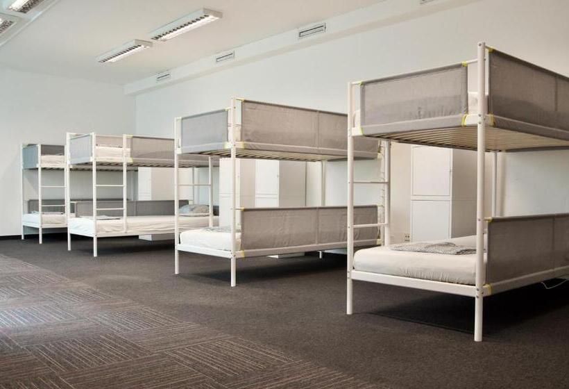 Wild Elephants Hostel