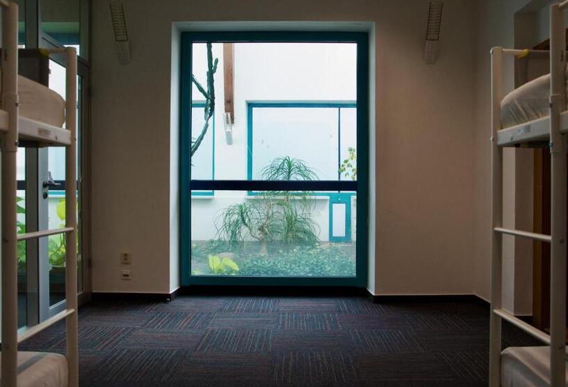 Wild Elephants Hostel