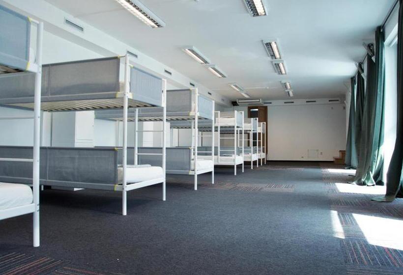 Wild Elephants Hostel