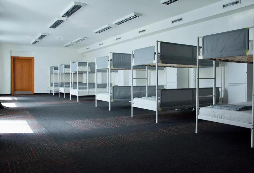 Wild Elephants Hostel