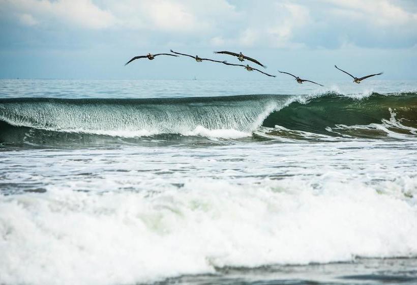 ベッドアンドブレックファースト Villa Al Fe