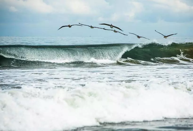 Aamiaismajoitus (B&B) Villa Al Fe