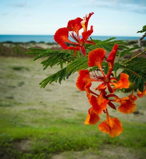 ベッドアンドブレックファースト Villa Al Fe