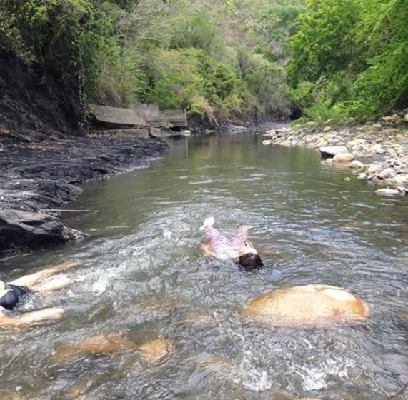 Отель Club Campestre El Peñón De Apulo